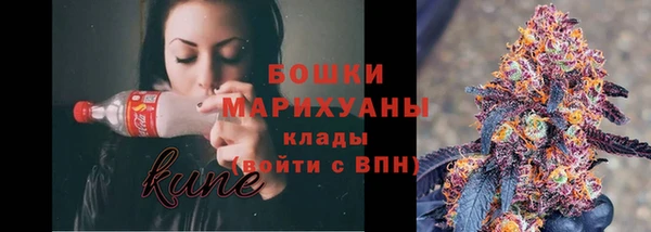гашик Верея