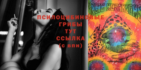 гашик Верея