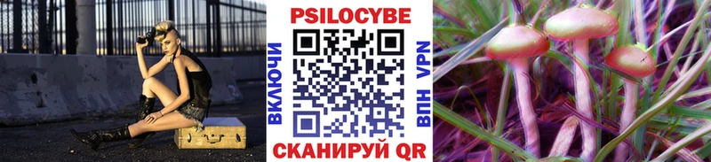 Псилоцибиновые грибы Cubensis  Няндома 